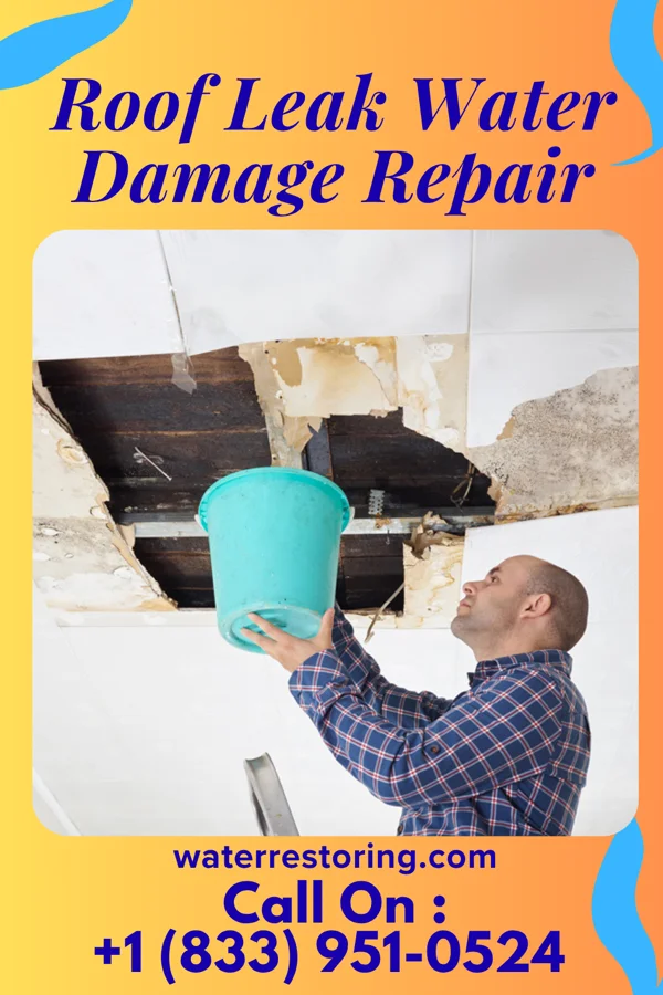 Roof Leak Water Damage Repair in San Mateo, CA